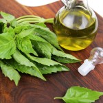 fresh basil oil