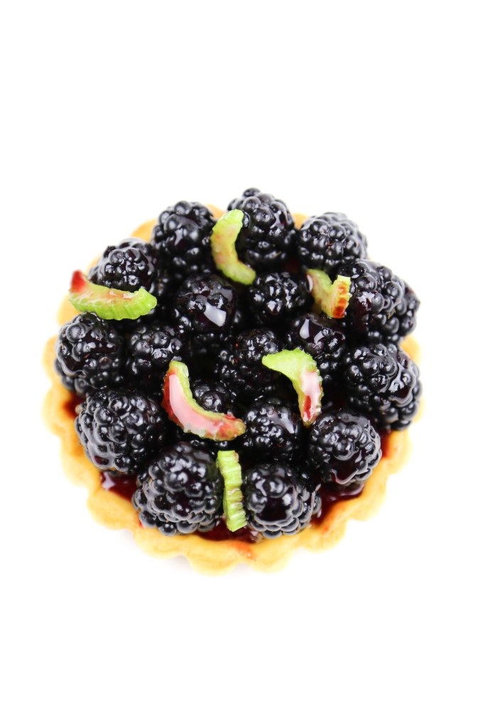 blackberry tart 