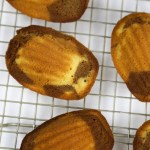 marble madeleines